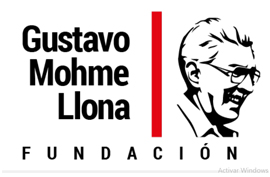 Aula virtual de la Fundación Gustavo Mohme Llona